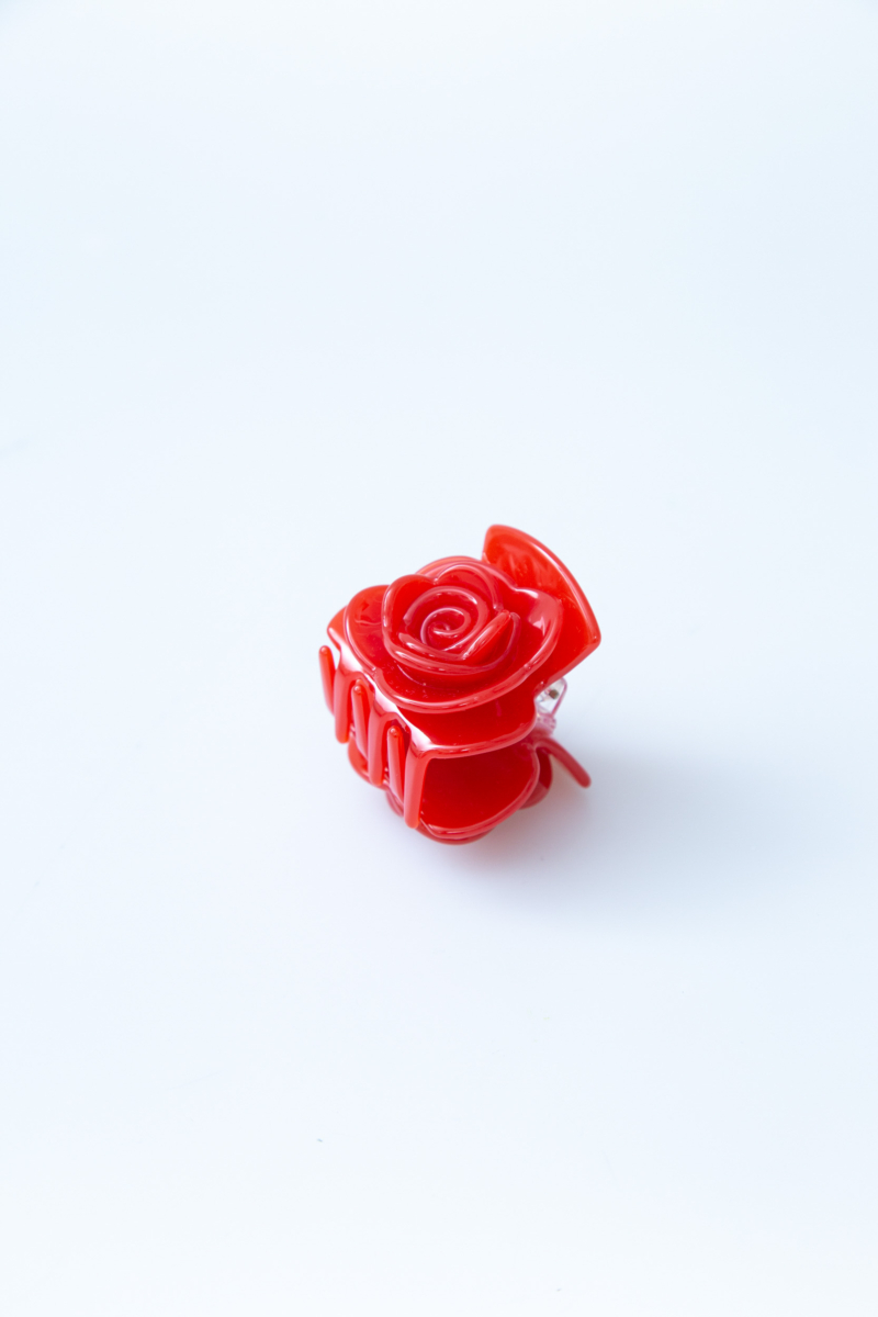 BROCHE SANDRO