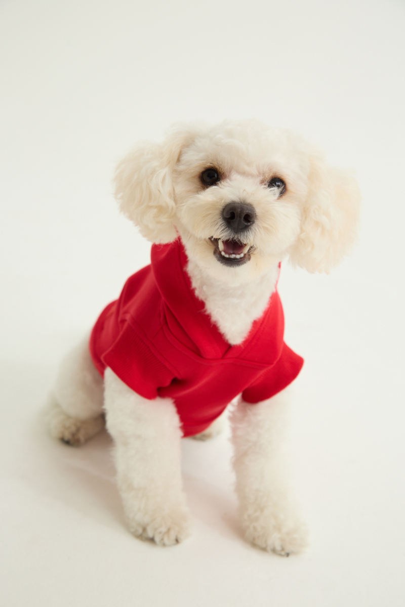 Buzo para perros de algodón con capucha color rojo