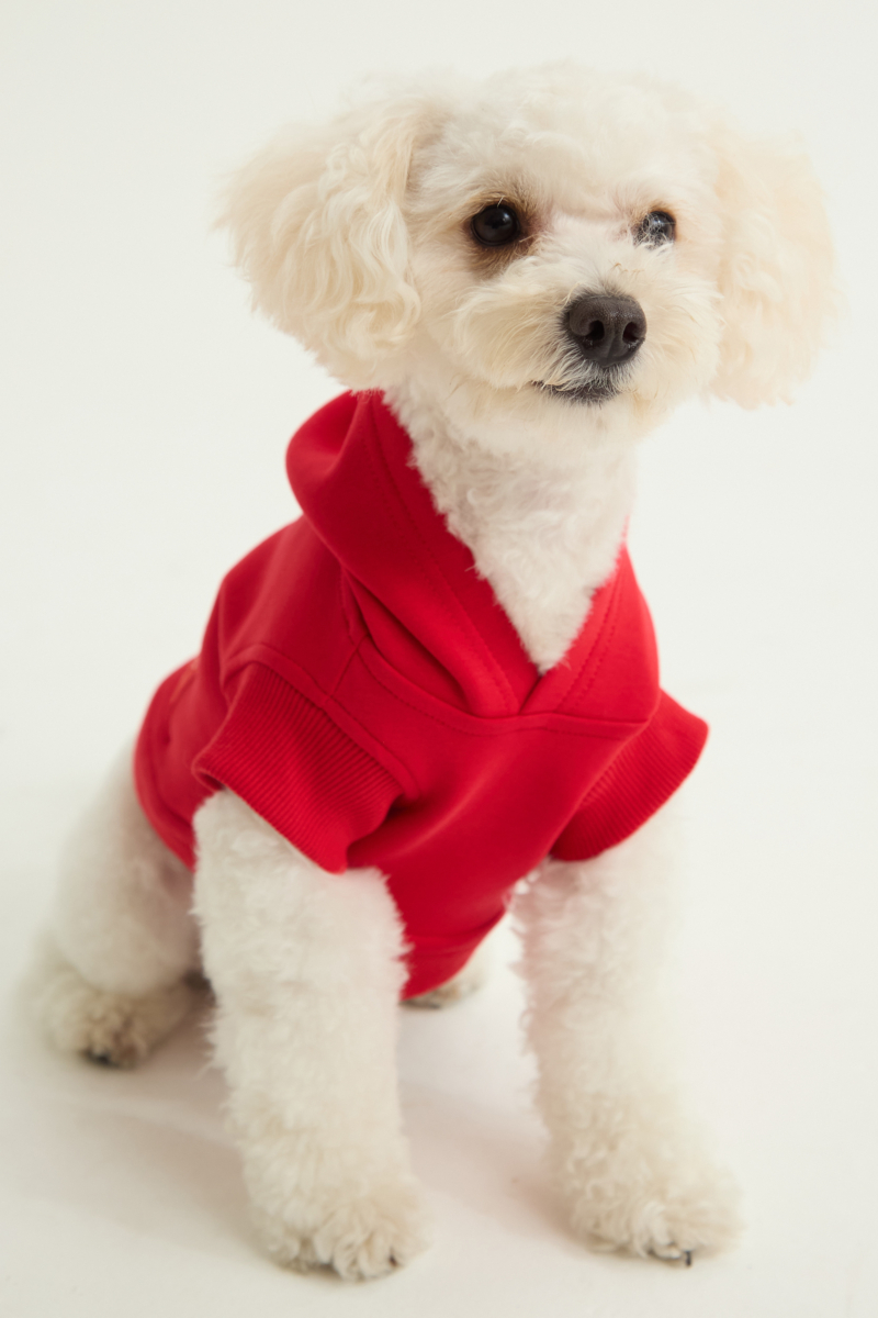 Buzo para perros de algodón con capucha color rojo