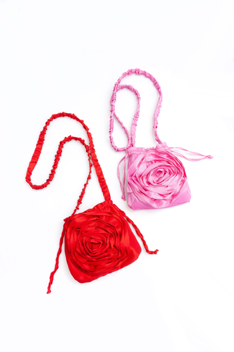 CARTERA SANDRO