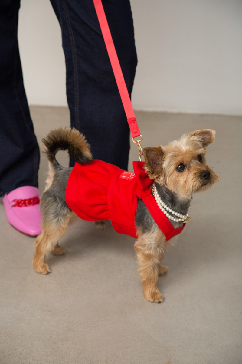 Vestido de paño para perros rojo con volados y moño