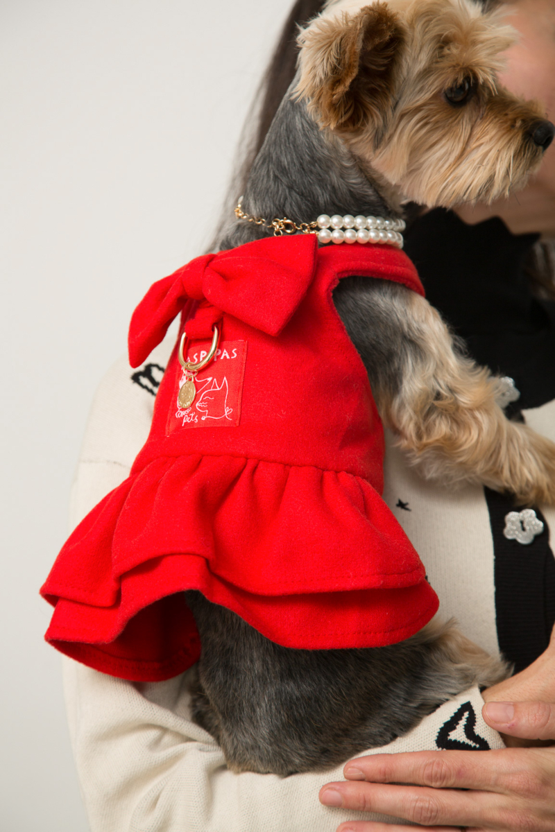 Vestido de paño para perros rojo con volados y moño