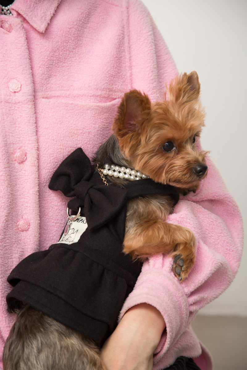 Vestido de paño para perros negro con volados y moño
