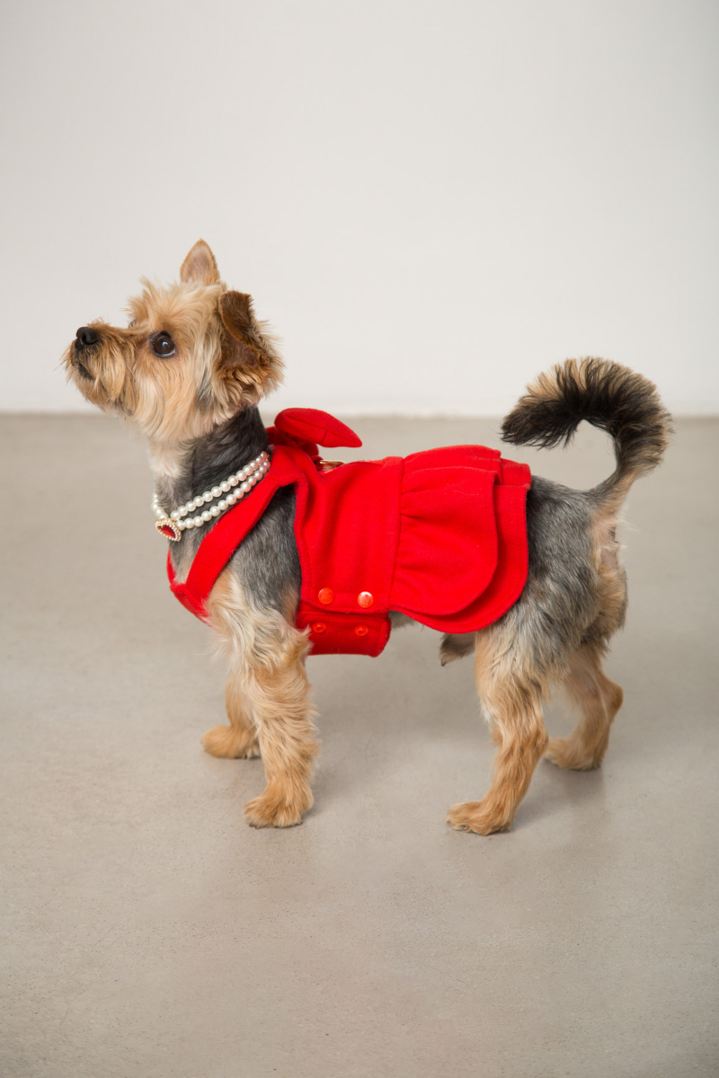 Vestido de paño para perros rojo con volados y moño
