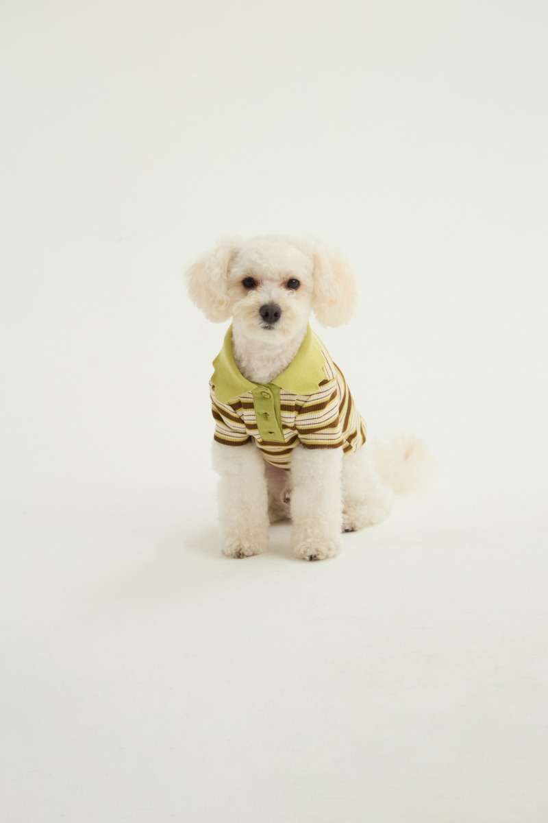 Remera para perros rayada verde de morley con cuello y botones.