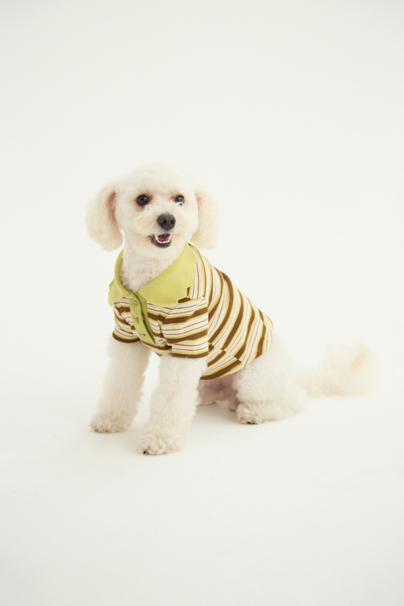 Remera para perros rayada verde de morley con cuello y botones.