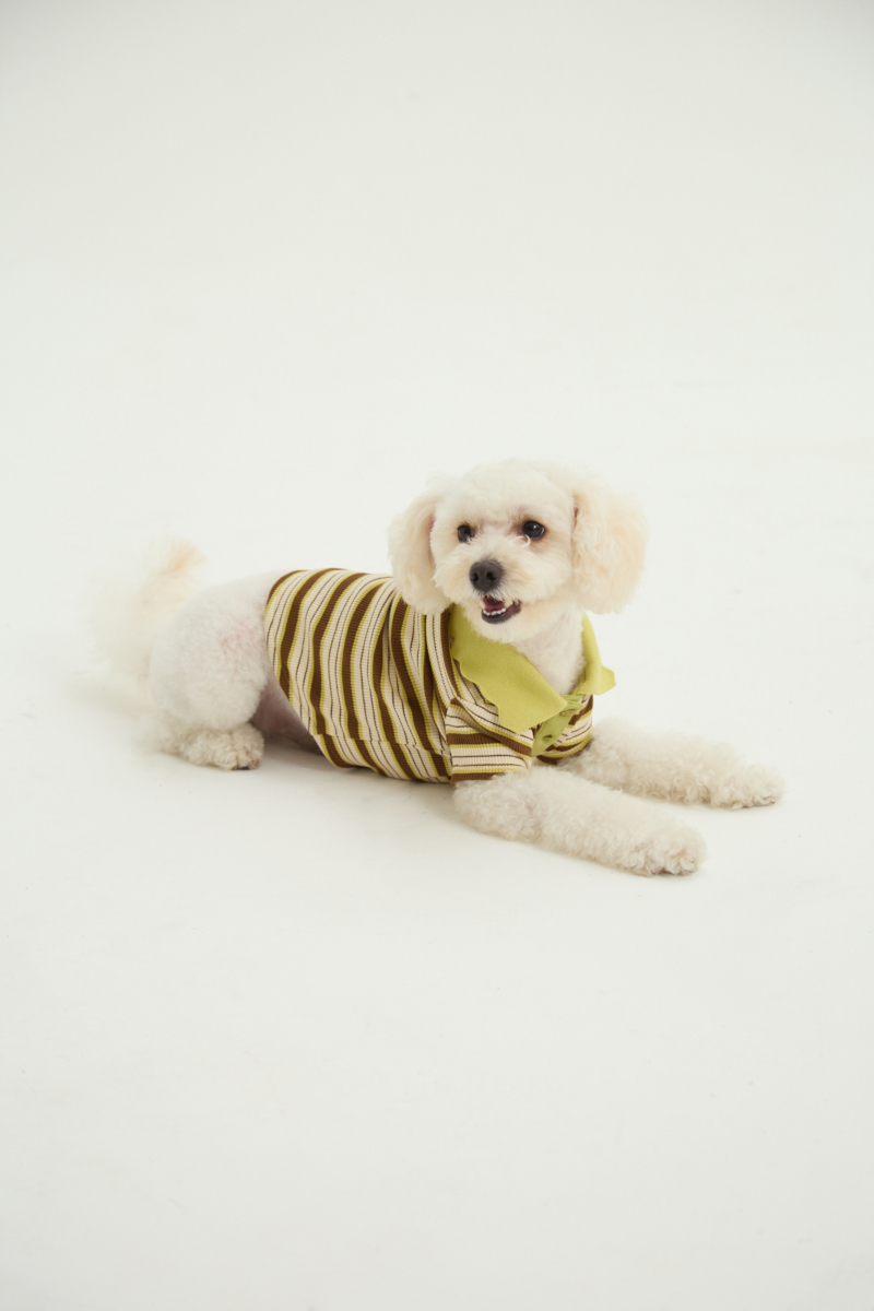 Remera para perros rayada verde de morley con cuello y botones.