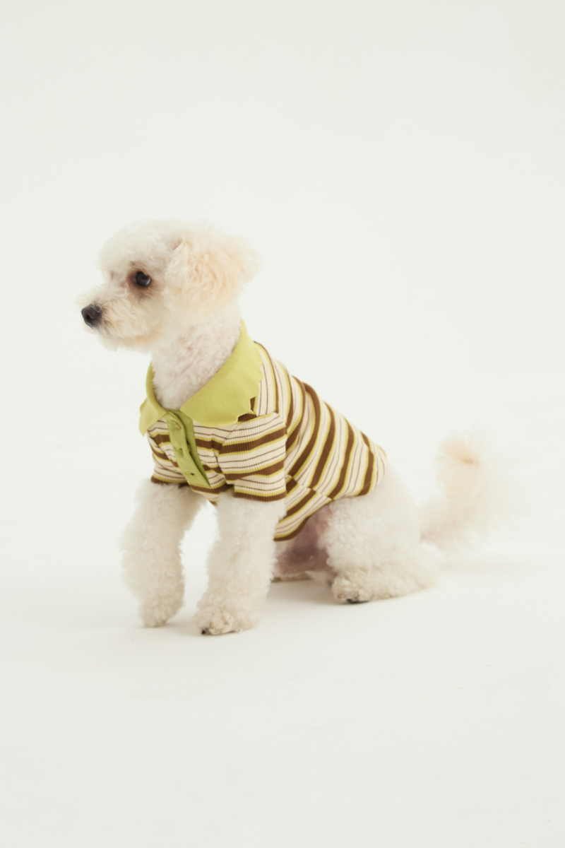 Remera para perros rayada verde de morley con cuello y botones.