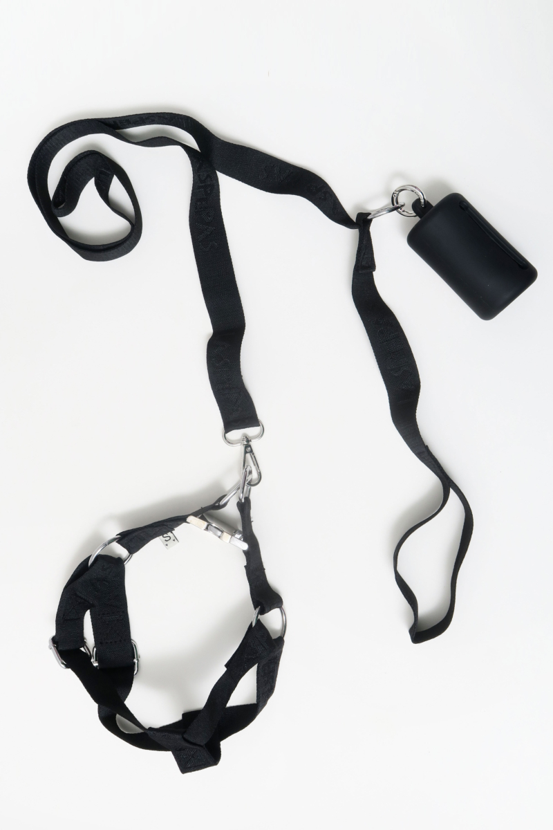 SET PARA PERROS GUAU DE ARNÉS, CORREA Y COLLAR