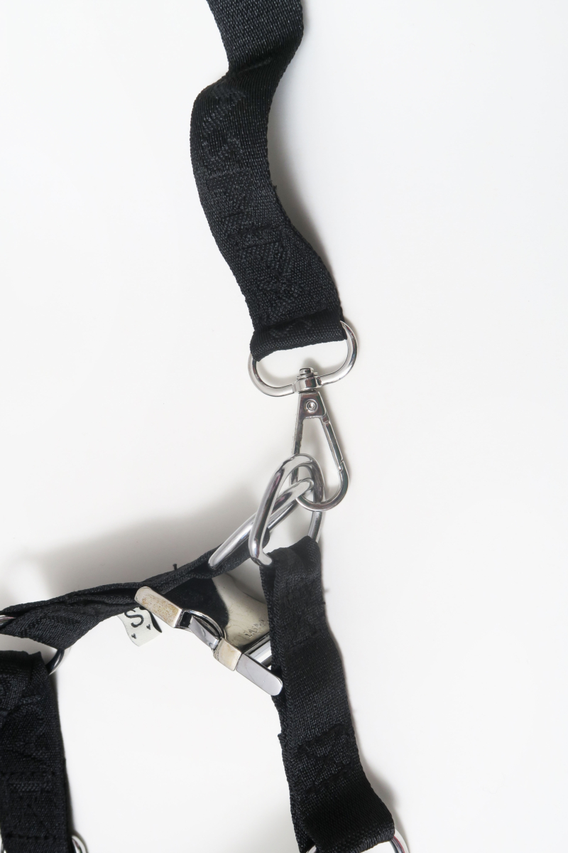 Set para perros con arnés, correa y collar color negro