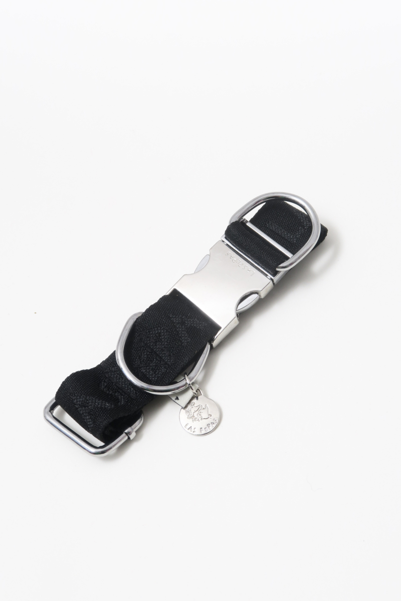 Set para perros con arnés, correa y collar color negro