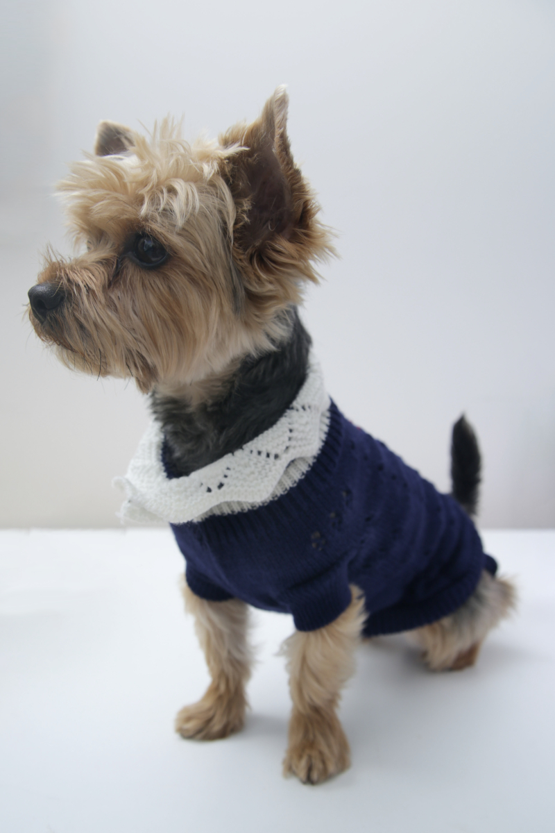 SWEATER PARA PERROS GRANNY 