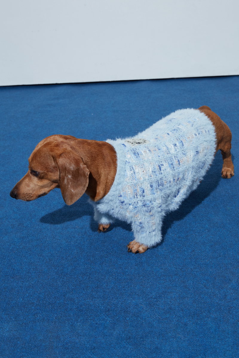 Sweater para perros tejido con textura peluda color 
