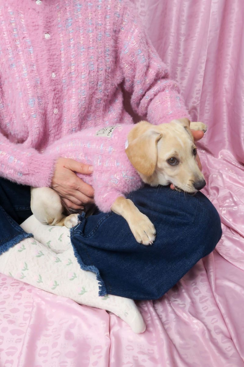 Sweater para perros tejido con textura peluda color 
