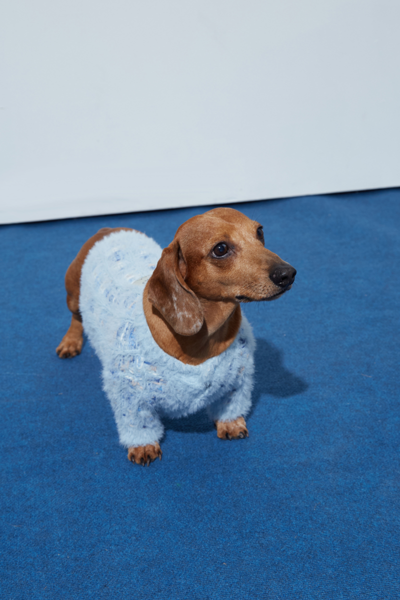 SWEATER PARA PERROS GUAU