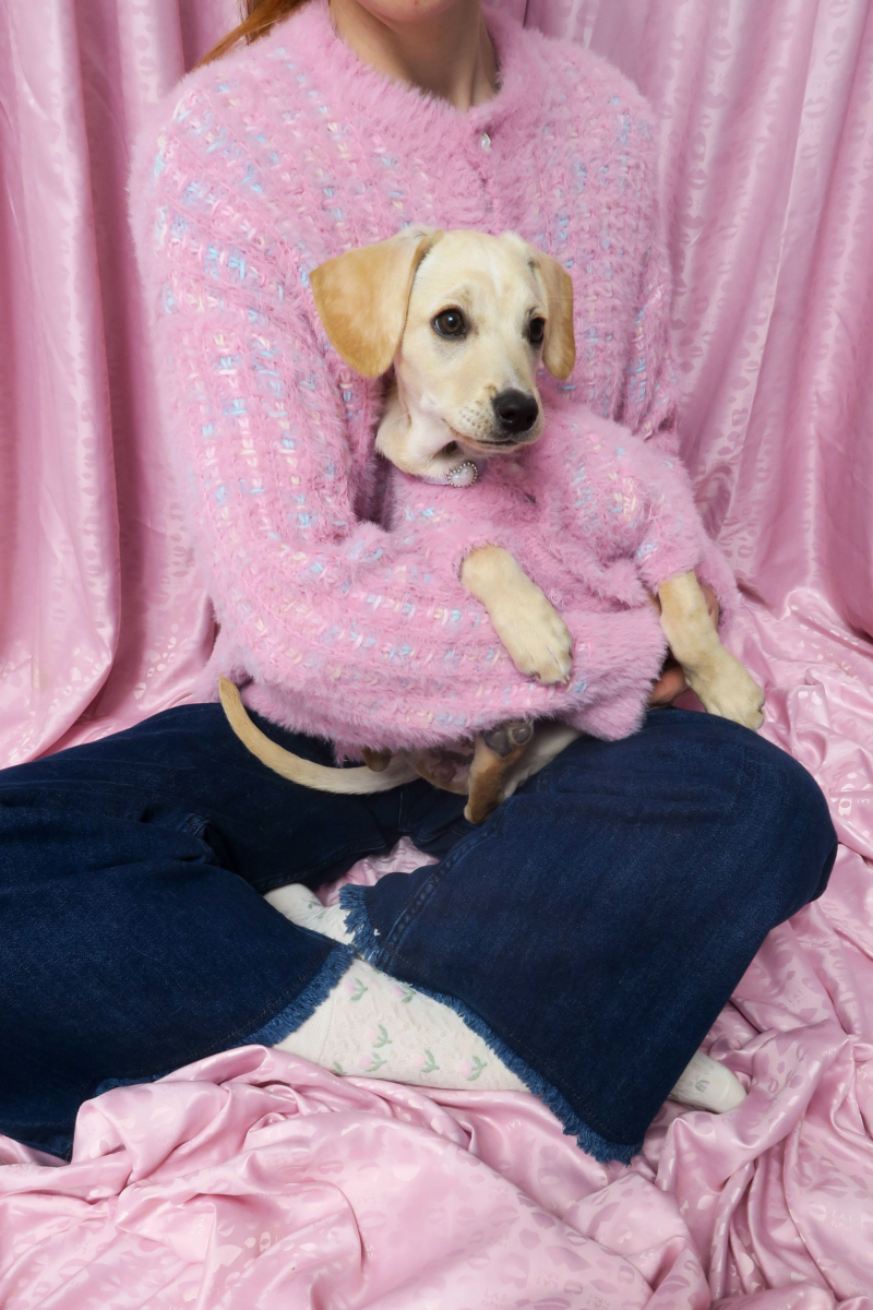 Sweater para perros tejido con textura peluda color 
