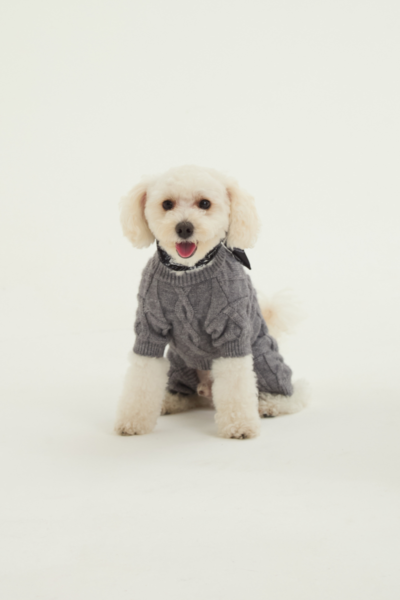 Sweater para perros tejido gris con patrón trenzado y mangas.