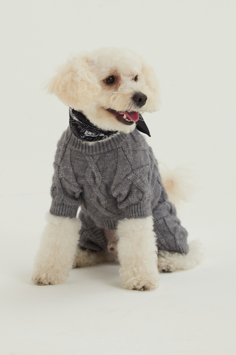 Sweater para perros tejido gris con patrón trenzado y mangas.