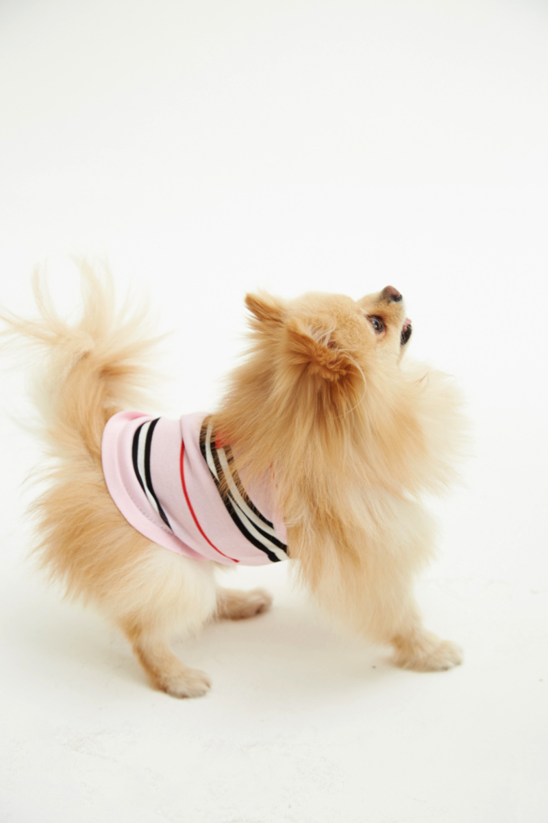 TOP PARA PERROS SAILOR GUAU RAYADO