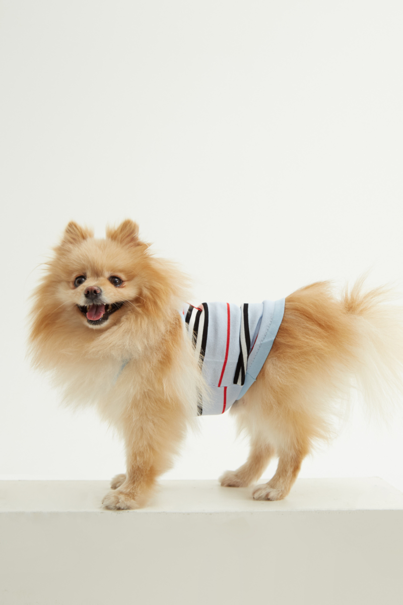 TOP PARA PERROS SAILOR GUAU RAYADO