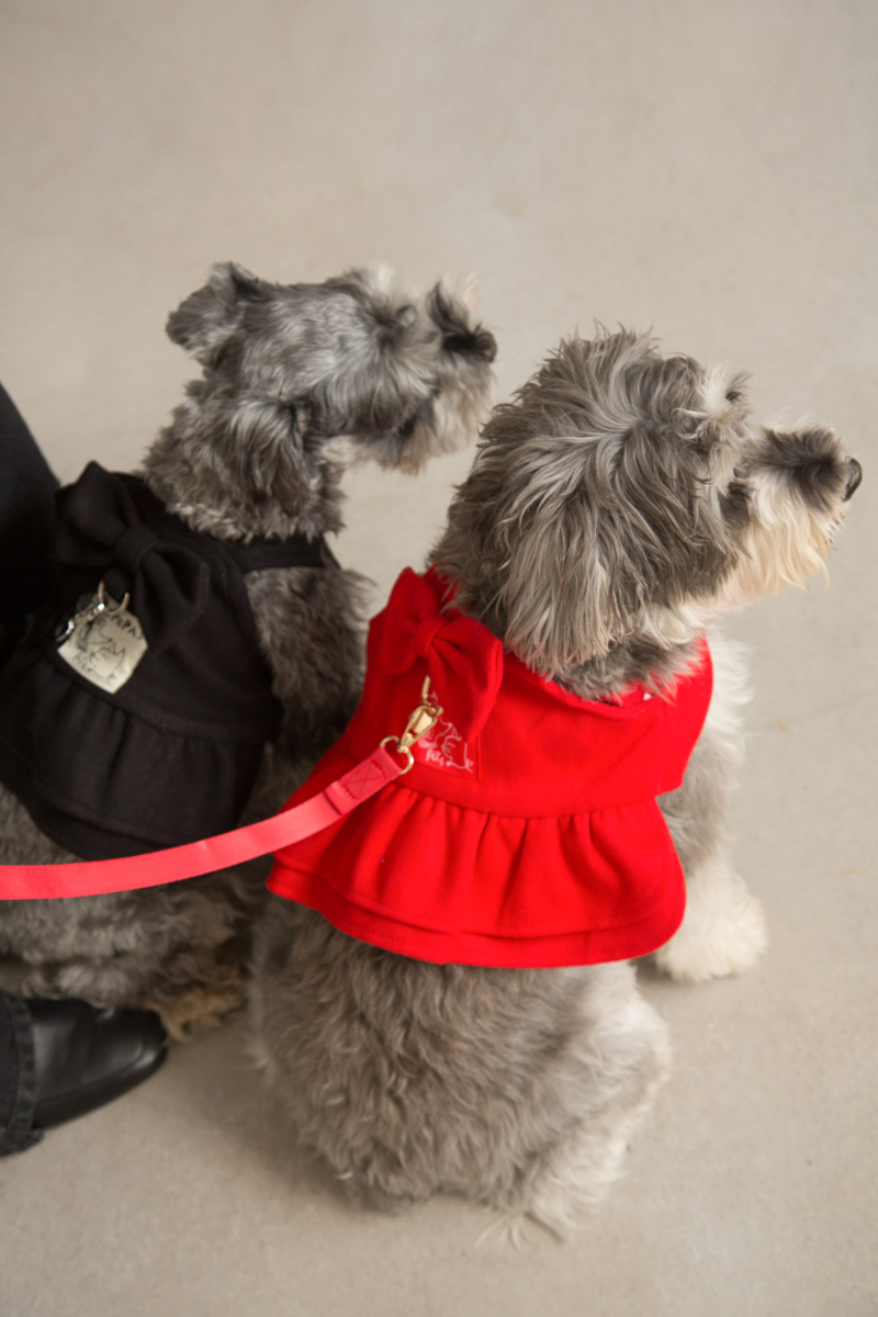 Vestido de paño para perros rojo con volados y moño