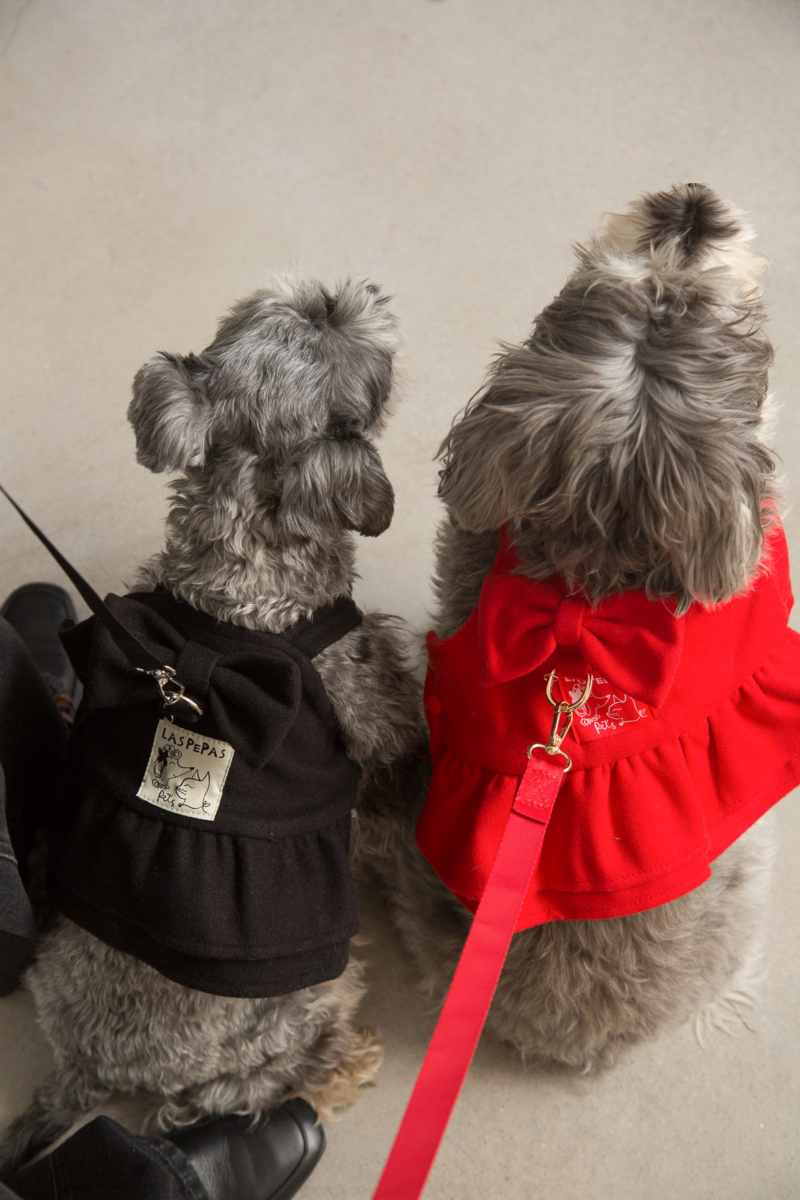 Vestido de paño para perros rojo con volados y moño