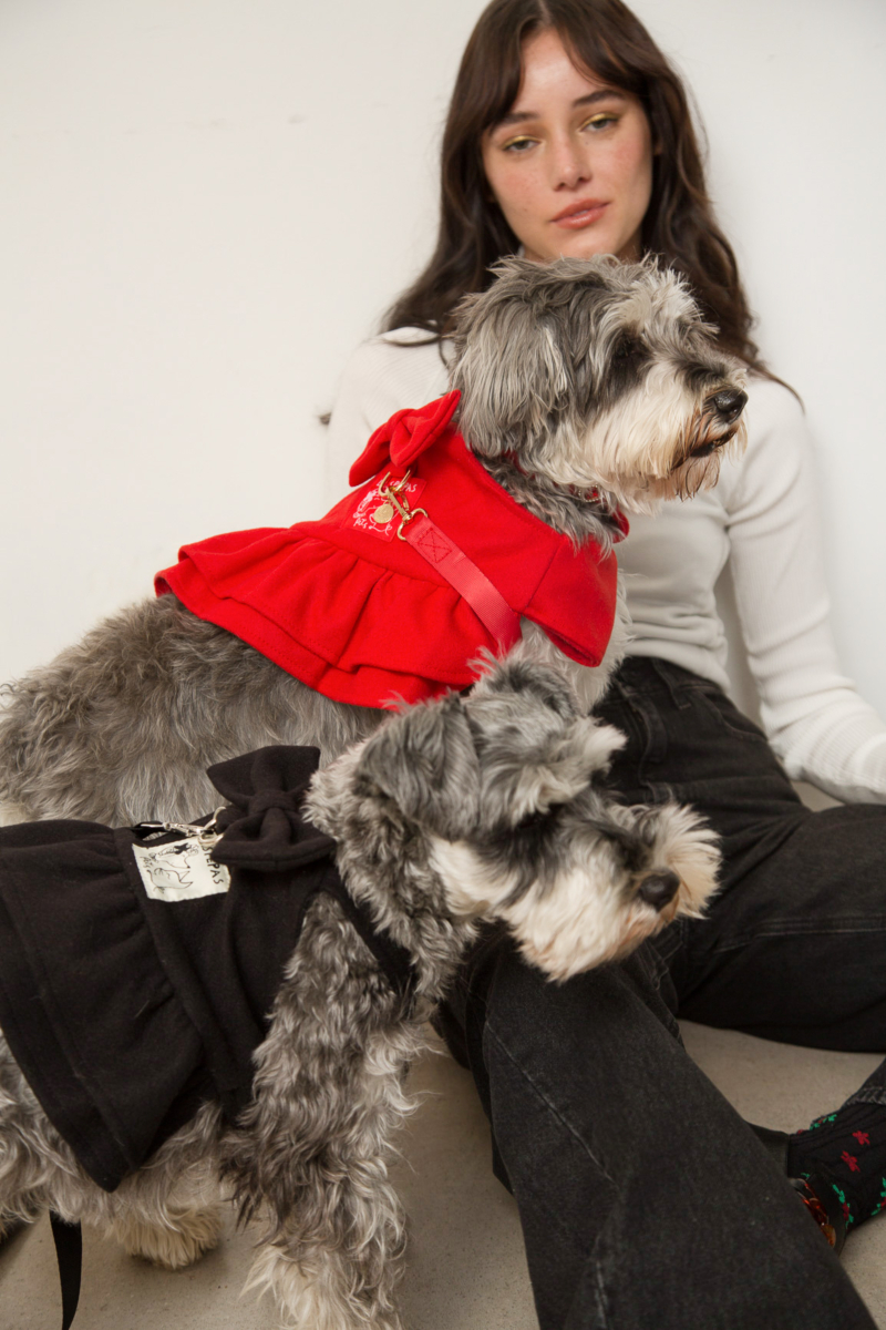 Vestido de paño para perros rojo con volados y moño