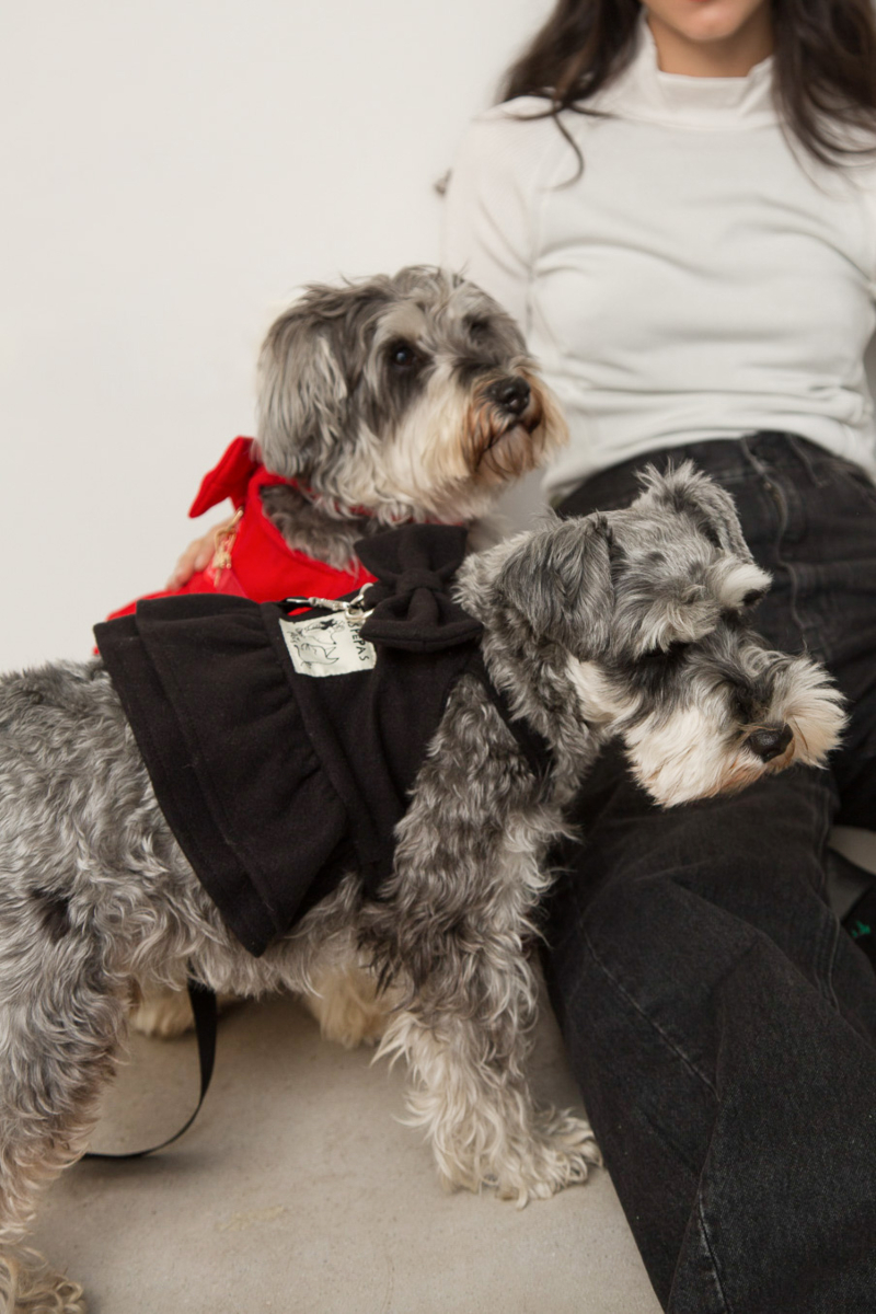 Vestido de paño para perros negro con volados y moño
