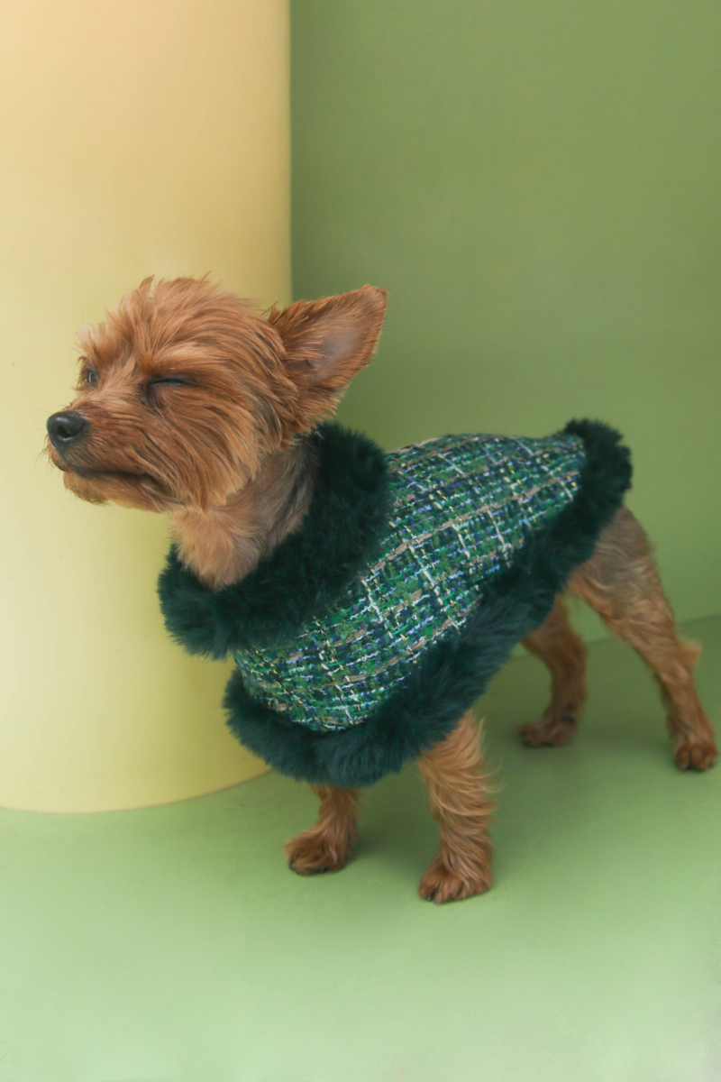 VESTIDO PARA PERROS GUAU COCO DE TWEED