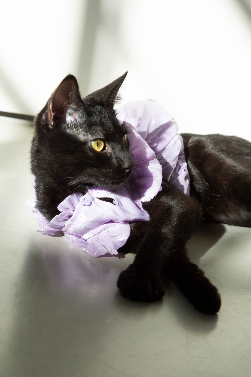 Vestido de organza para perros color lila con apliques de flores