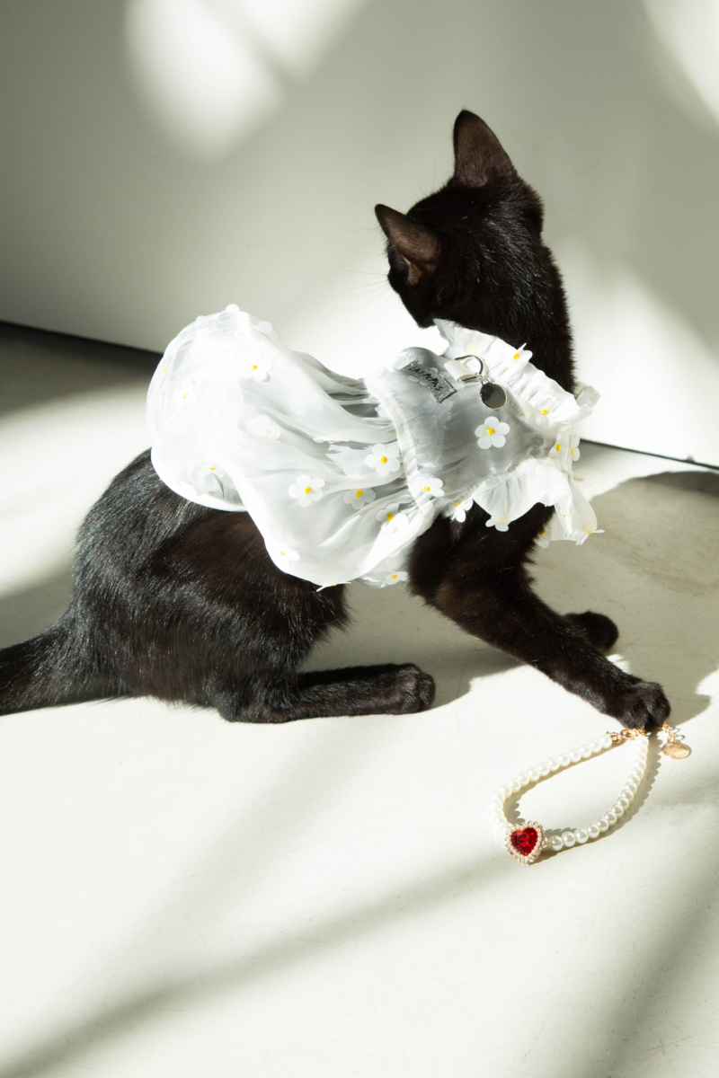 VESTIDO PARA PERROS DAISY DE ORGANZA
