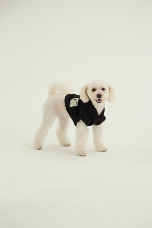 BUZO PARA PERROS FLOCH GUAU