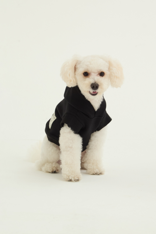BUZO PARA PERROS FLOCH GUAU