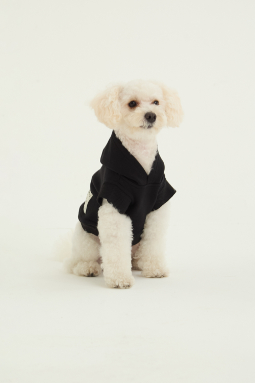 BUZO PARA PERROS FLOCH GUAU