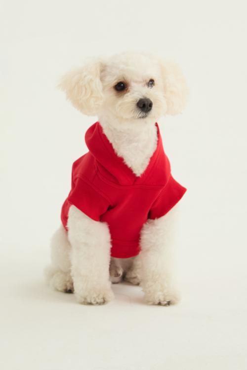 BUZO PARA PERROS FLOCH GUAU