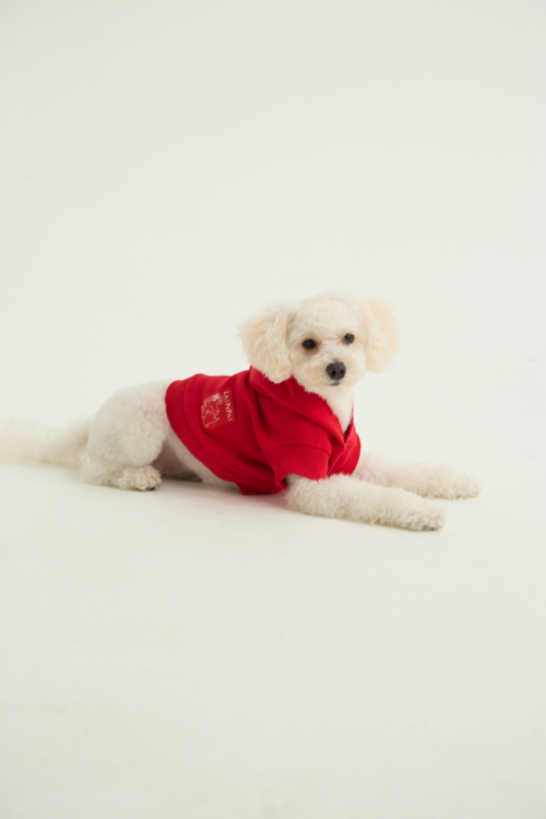 BUZO PARA PERROS FLOCH GUAU