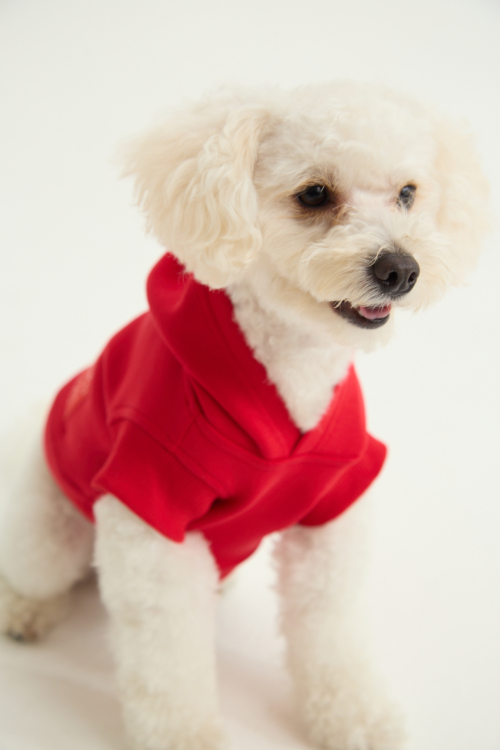 BUZO PARA PERROS FLOCH GUAU