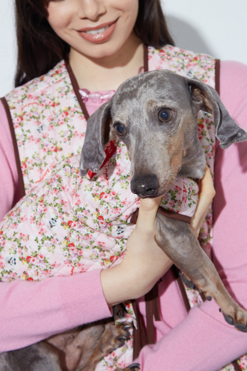 CHALECO PARA PERROS YORK REVERSIBLE GUAU
