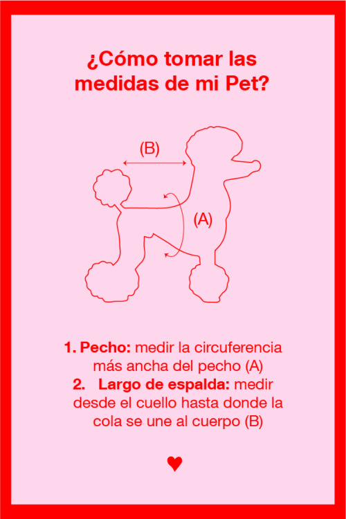 CAMISA PARA PERROS MASHA GUAU