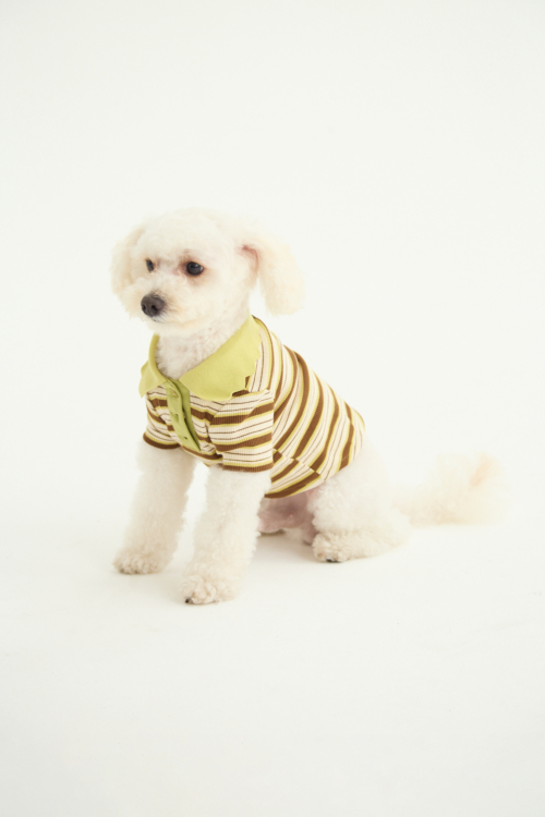 REMERA PARA PERROS ALICENT GUAU RAYADA
