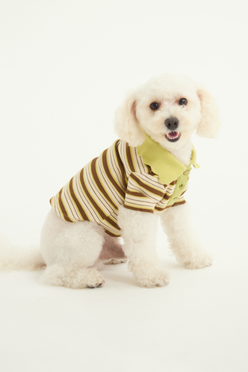 REMERA PARA PERROS ALICENT GUAU RAYADA