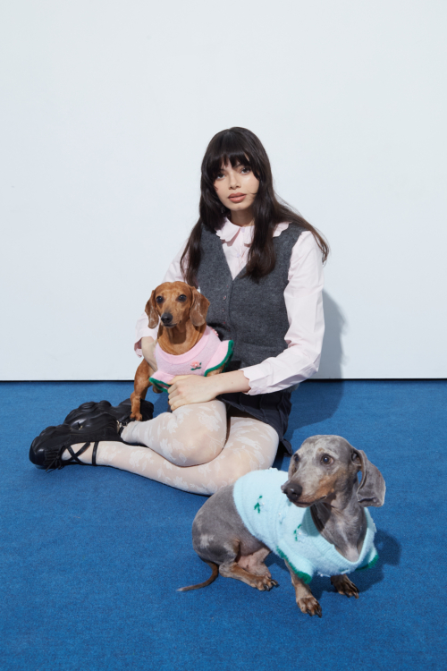 SWEATER PARA PERROS FLORA GUAU