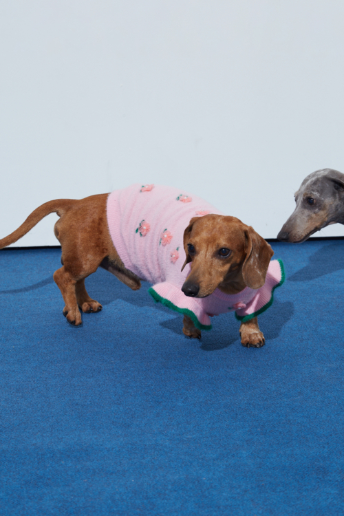 SWEATER PARA PERROS FLORA GUAU