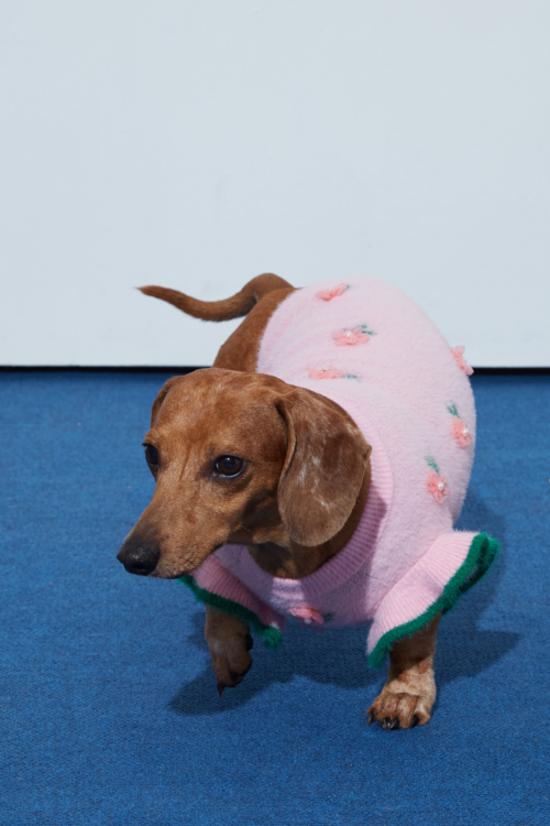 SWEATER PARA PERROS FLORA GUAU