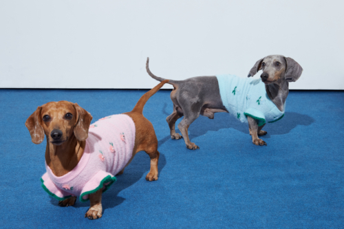 SWEATER PARA PERROS FLORA GUAU