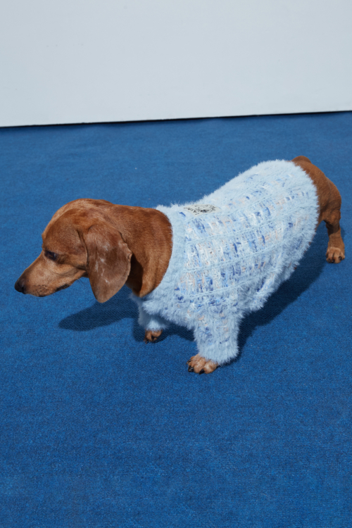 SWEATER PARA PERROS GUAU
