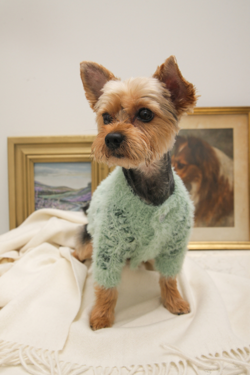 SWEATER PARA PERROS GUAU
