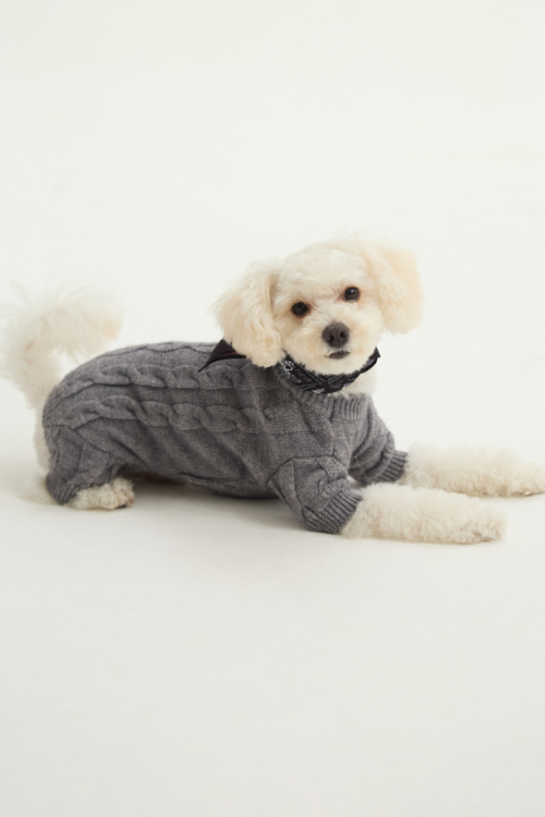 SWEATER PARA PERROS RALPH GUAU