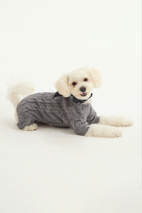 SWEATER PARA PERROS RALPH GUAU