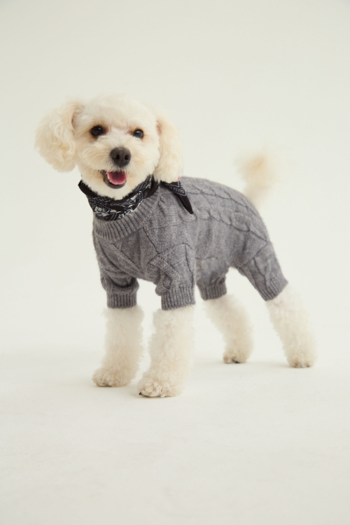 SWEATER PARA PERROS RALPH GUAU